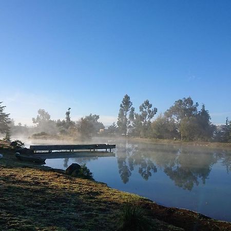 Cabanas Tapalpa Sierra Del Tecuan, Cabana Lince Экстерьер фото