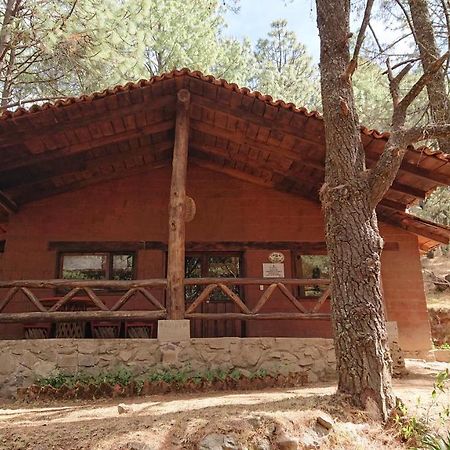 Cabanas Tapalpa Sierra Del Tecuan, Cabana Lince Экстерьер фото