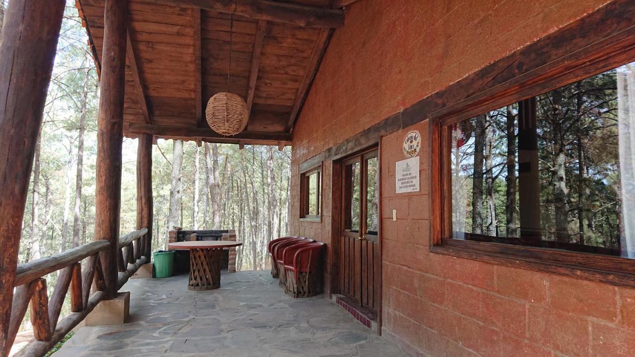 Cabanas Tapalpa Sierra Del Tecuan, Cabana Lince Экстерьер фото