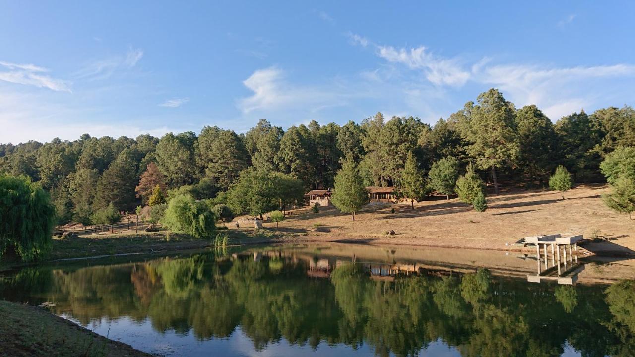 Cabanas Tapalpa Sierra Del Tecuan, Cabana Lince Экстерьер фото