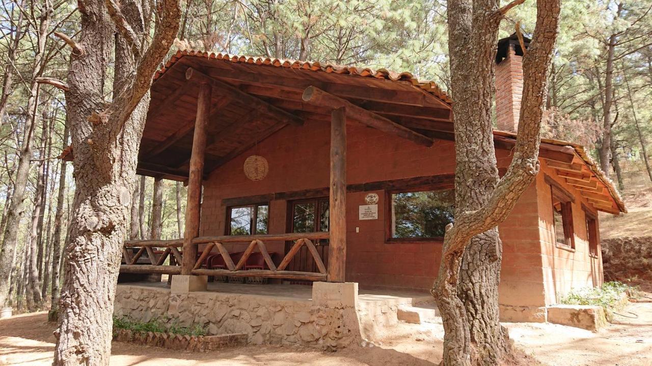 Cabanas Tapalpa Sierra Del Tecuan, Cabana Lince Экстерьер фото